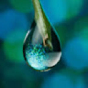 Meet your Posher, Relaxation